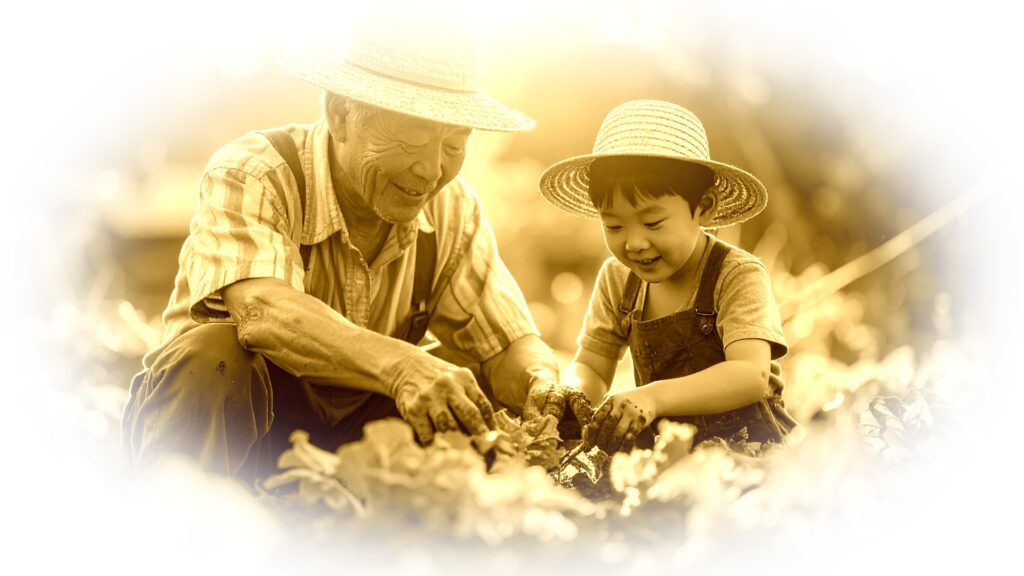 メモリアルムービー – 古き良き思い出